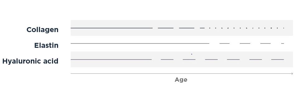 Aging-Skin-Timeline